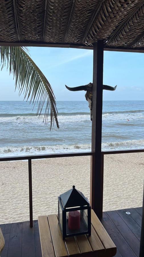 Palm Beach Hostal Guachaca Kültér fotó